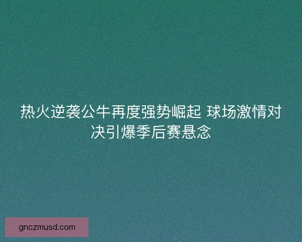 热火逆袭公牛再度强势崛起 球场激情对决引爆季后赛悬念